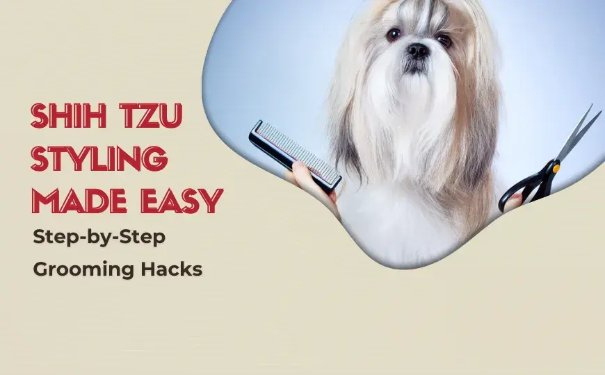 Expert Tips on Shih Tzu Dog Grooming